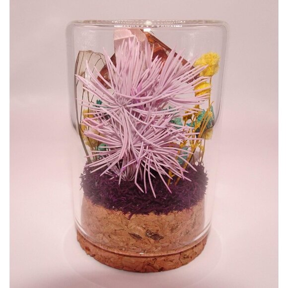 Orange Tipped Oakworm Moth Cicada Skin Dried Flowers Oddity Jar taxidermy witchy - Picture 7 of 12